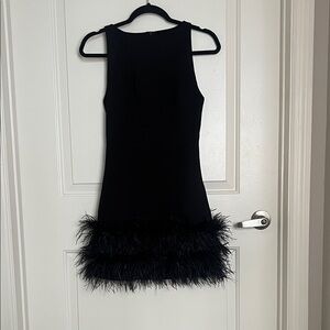 ZARA Elegant Black Feather Trim Dress